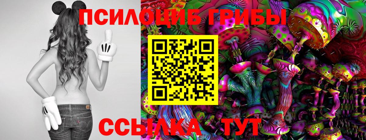 Шелехов  Псилоцибиновые грибы прущие грибы  Вход с VPN 