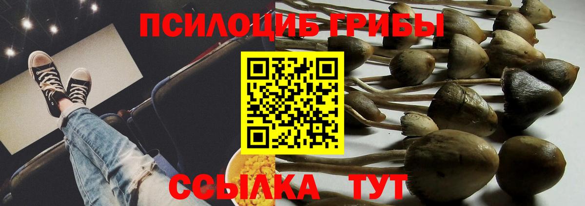 Псилоцибиновые грибы прущие грибы Шелехов